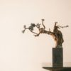 bonzai tree by the edge of wooden table